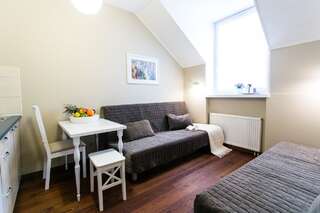 Апартаменты Gedimino House Вильнюс Номер-студио-9